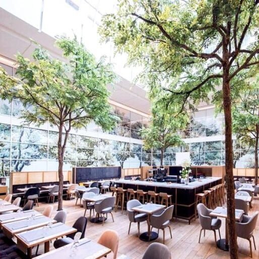 Bat Mi Tuyp Chon Ban Ghe Cafe Dep Cho Khong Gian Ngoai Troi