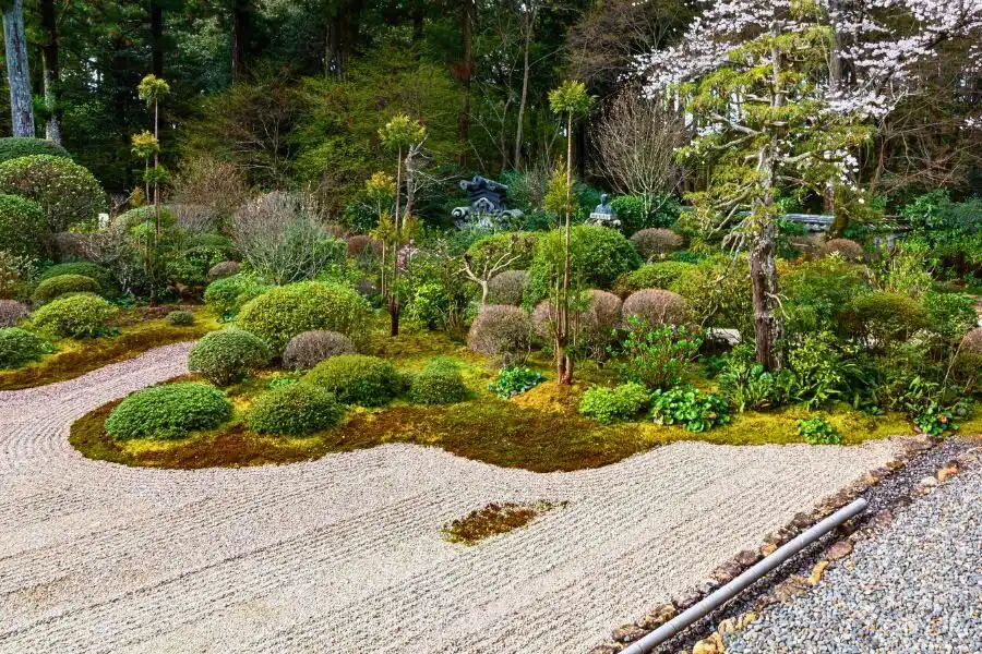 Mang đến giá trị phong thuỷ