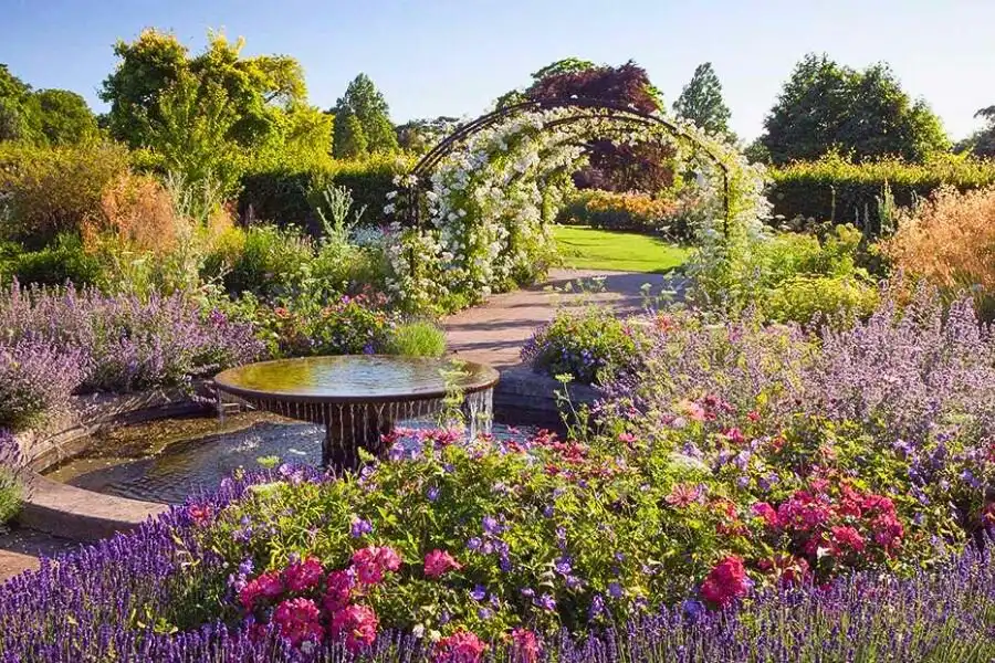 Các bước trang trí sân vườn hoàn hảo