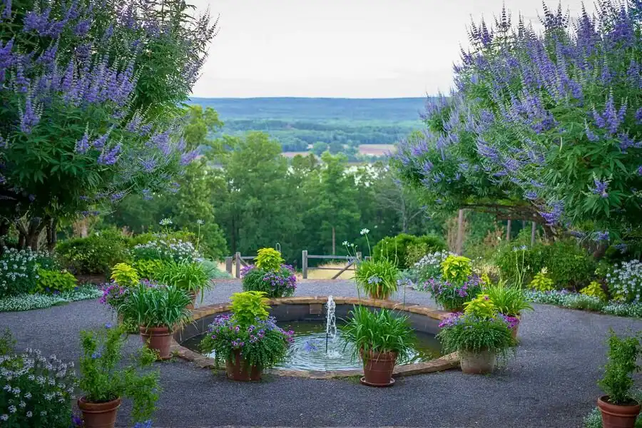 Nguyên tắc khi trang trí sân vườn