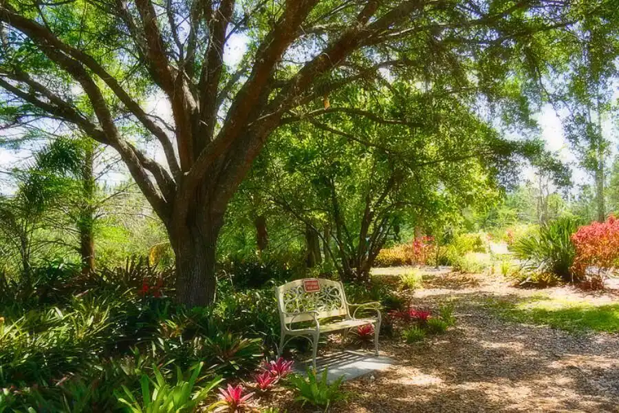 Tạo điểm nhấn hoàn hảo cho sân vườn