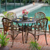 Bộ bàn ghế sân vườn nhôm đúc BG-03N1 màu nâu bàn D100cm