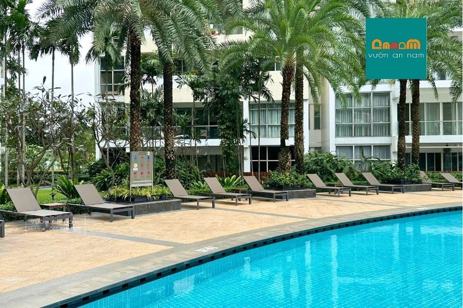 Không gian hoàn thiện bàn giao ghế hồ bơi tại The Estella